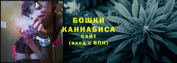 мдпв Верея