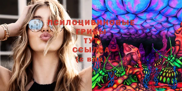 мдпв Верея