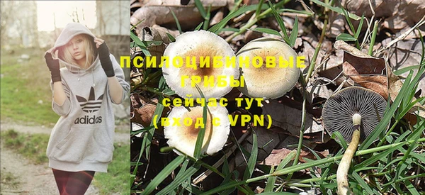 мдпв Верея