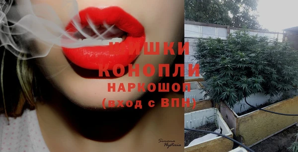 мдпв Верея