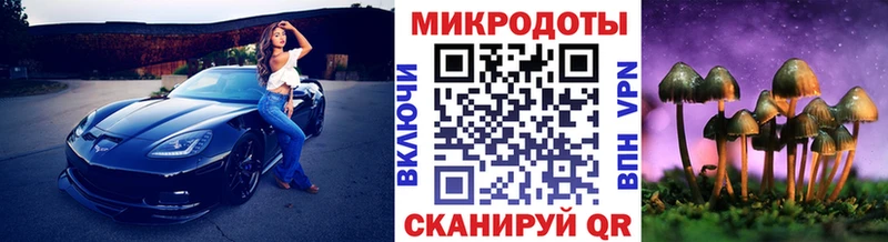Галлюциногенные грибы Psilocybe  Купить где  Лебедянь 
