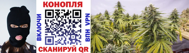 Купить где  Лебедянь  Шишки марихуана Amnesia 